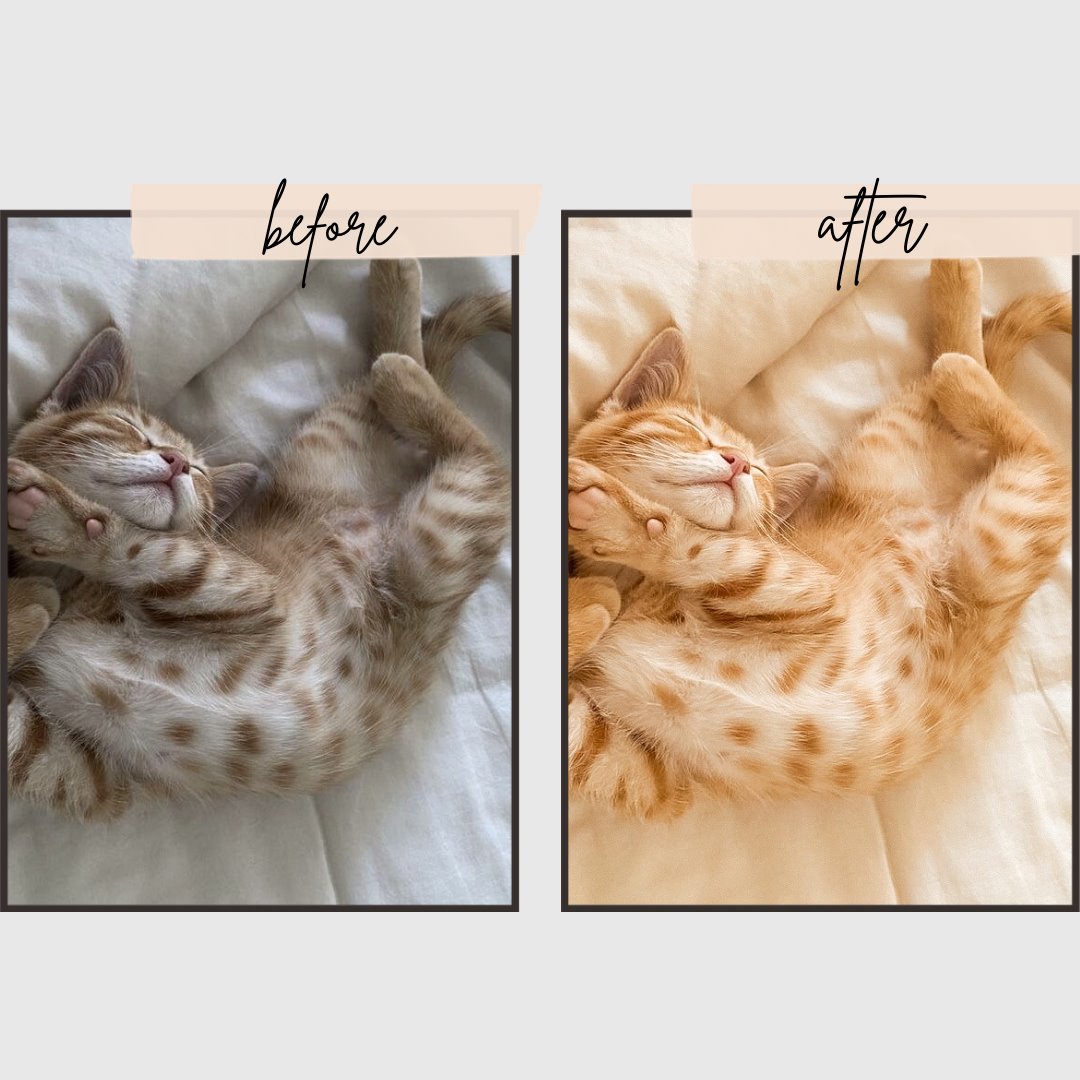 Creamy Presets edital