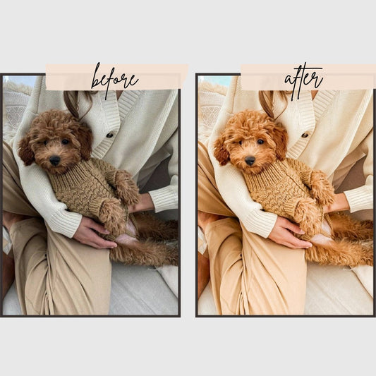 Creamy Presets edital