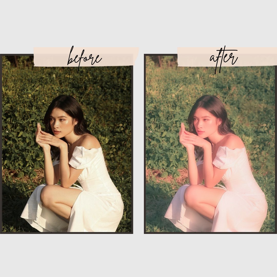 Dreamy Presets edital
