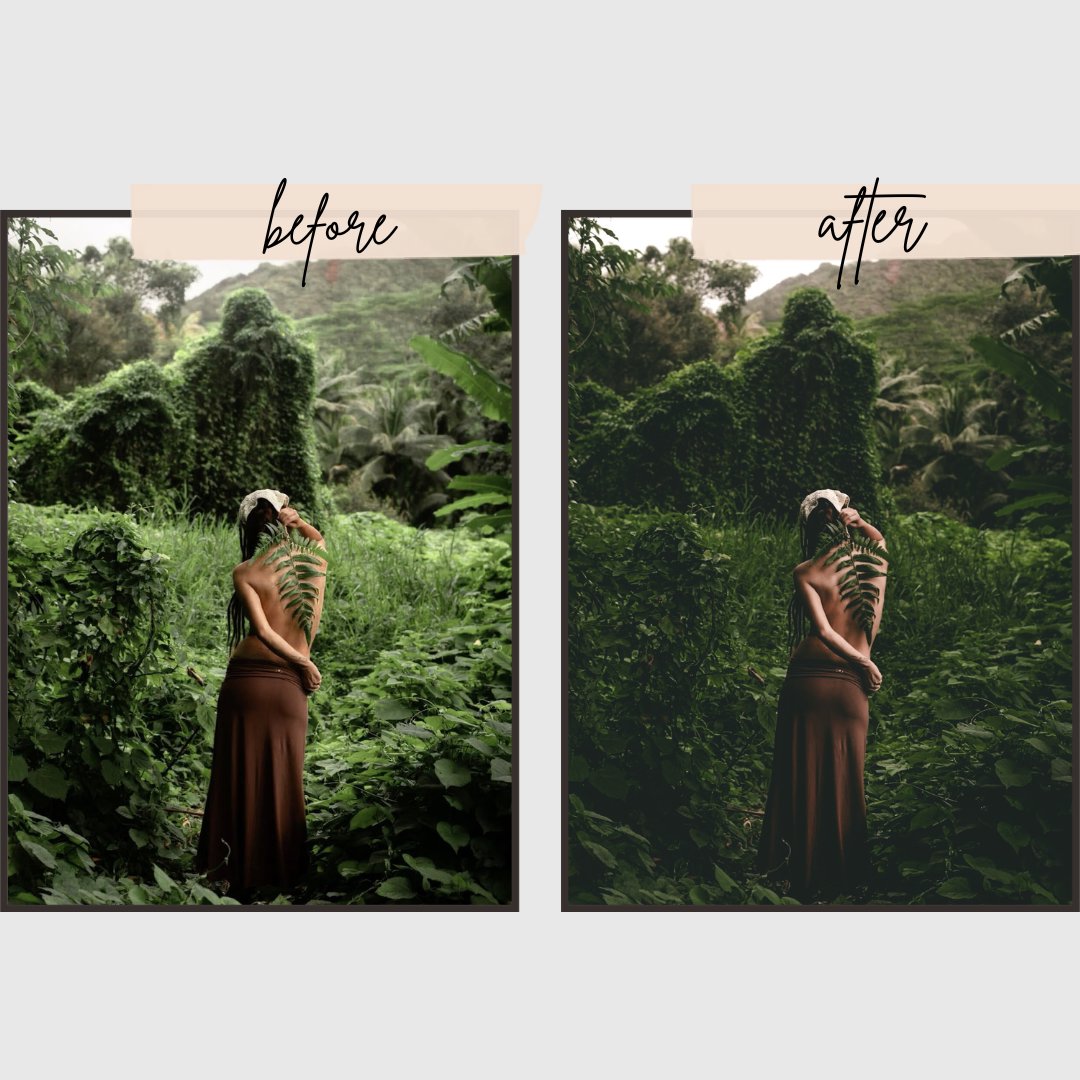 Forest Presets edital
