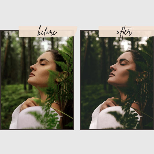 Forest Presets edital