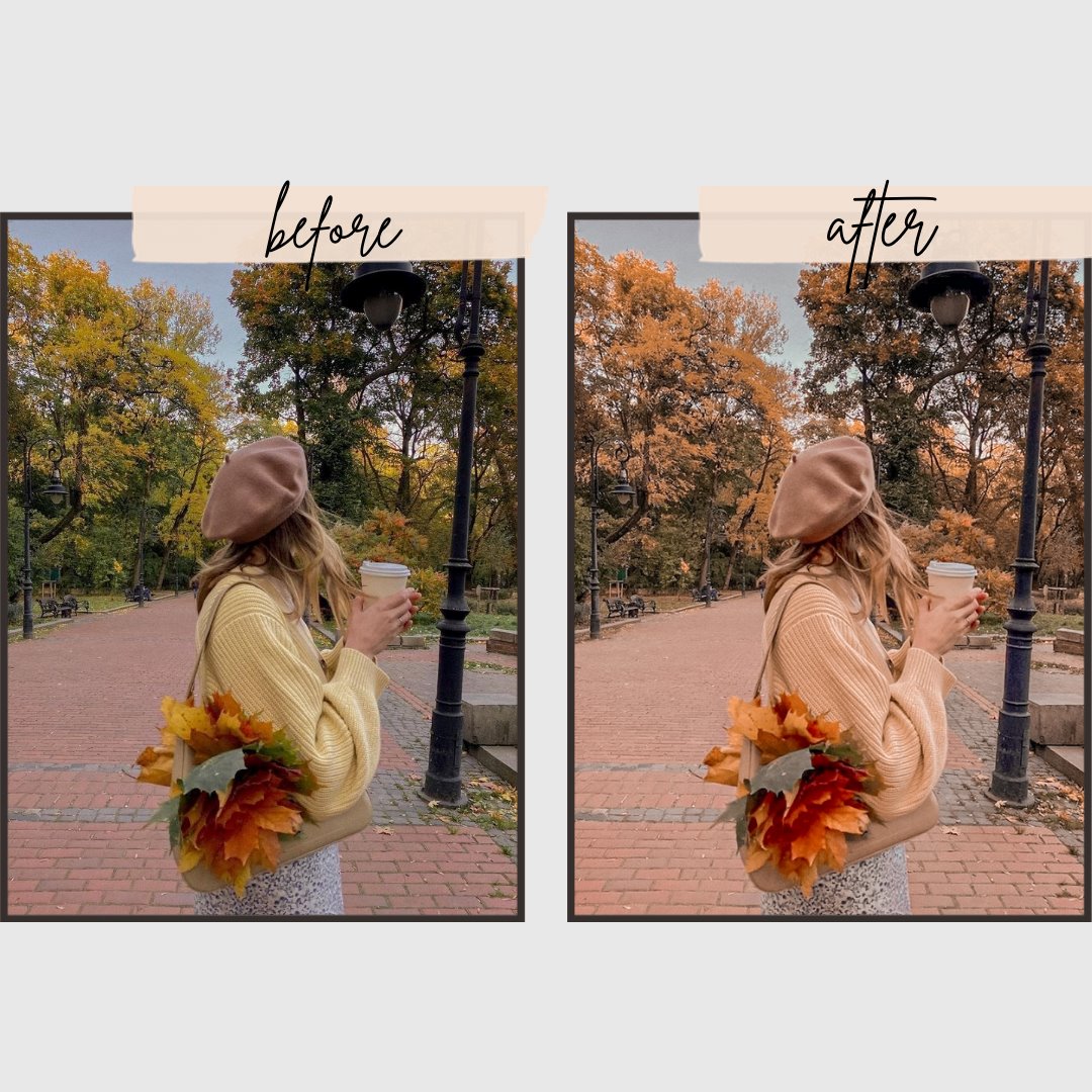 4 seasons Lightrom Presets pack edital