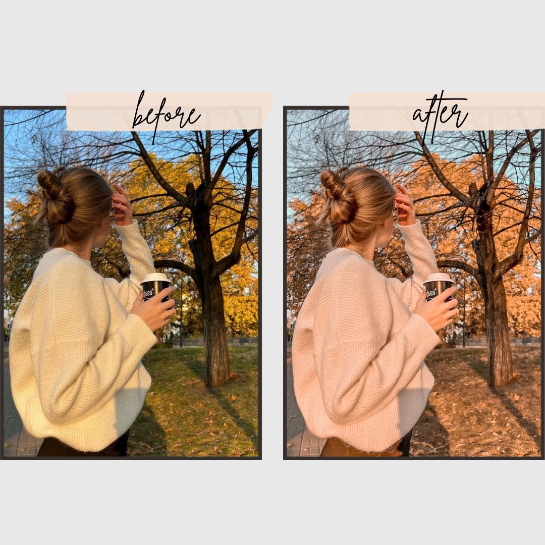 Autumn Presets edital