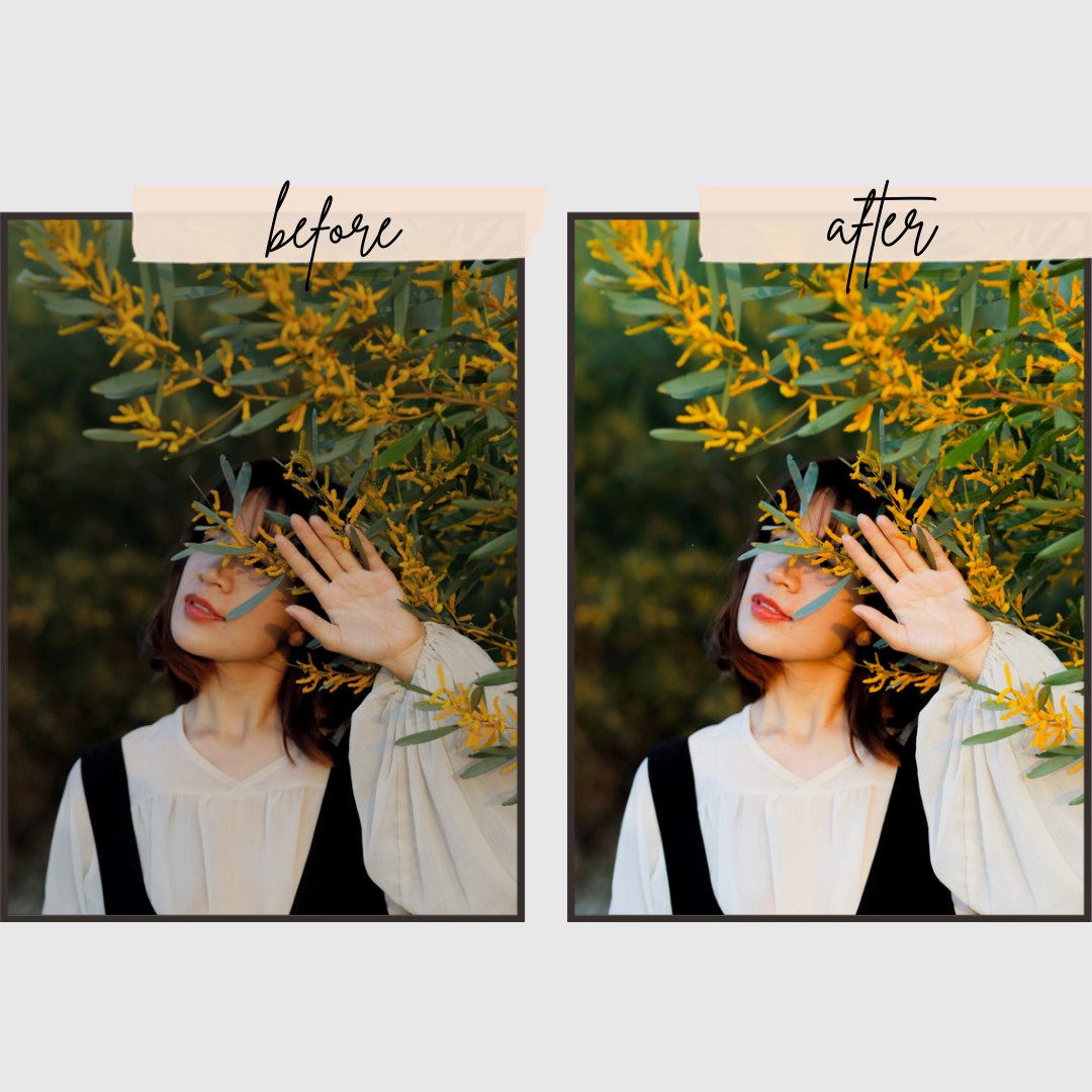 Natural Presets edital