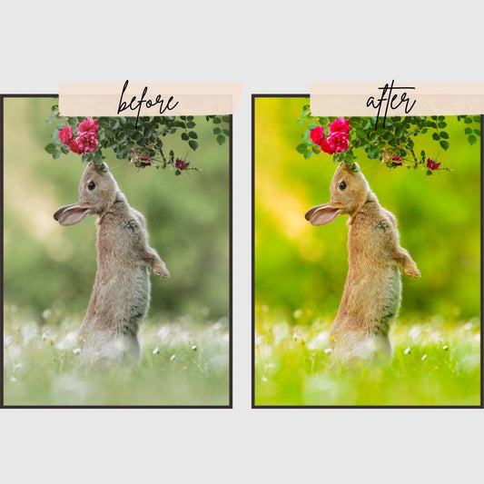 Nature Presets edital