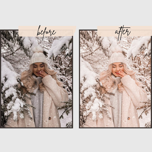 snowy winter presets edital