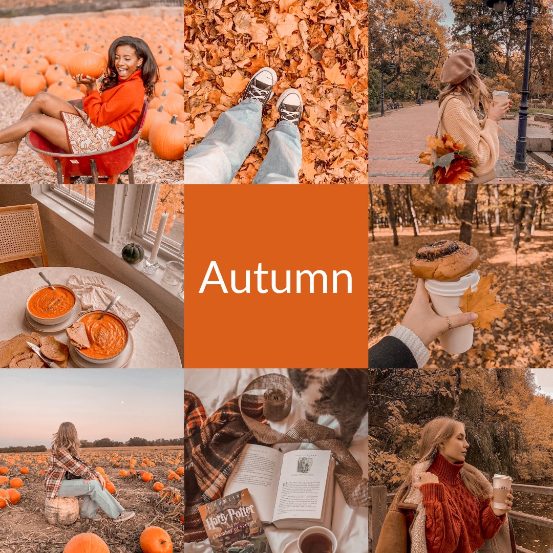 Autumn Presets edital 