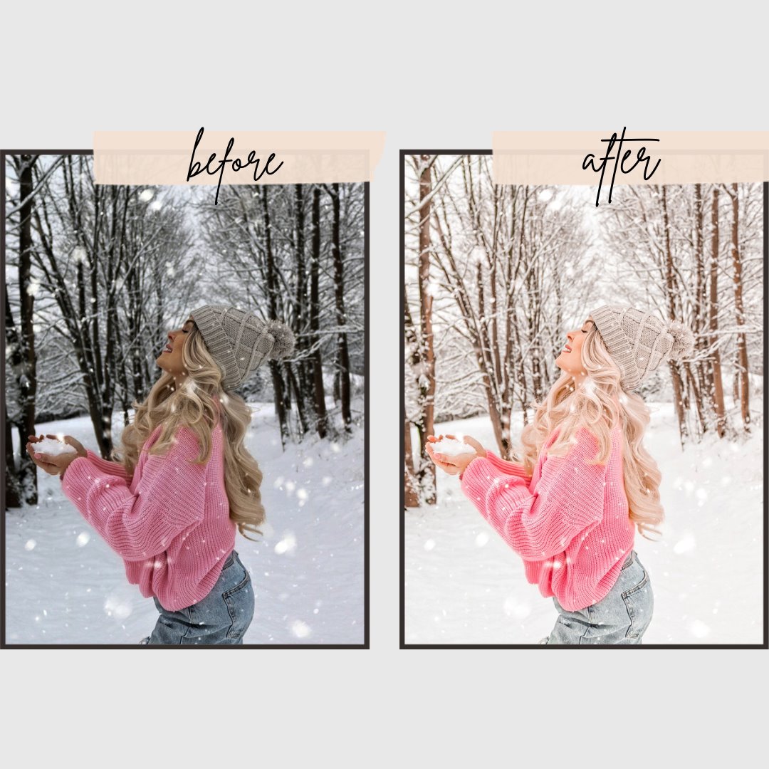 4 seasons Lightrom Presets pack edital 