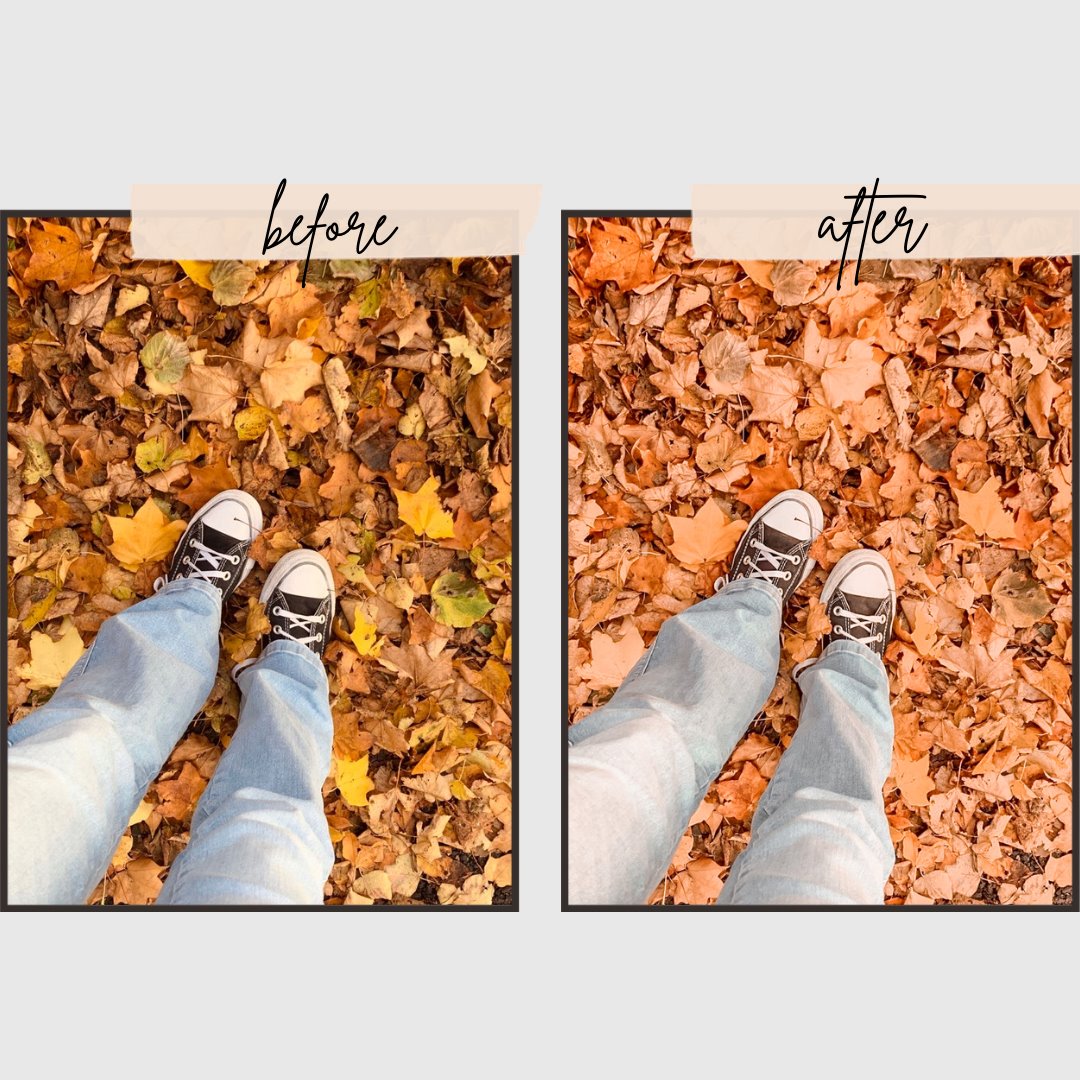 Autumn Presets edital 