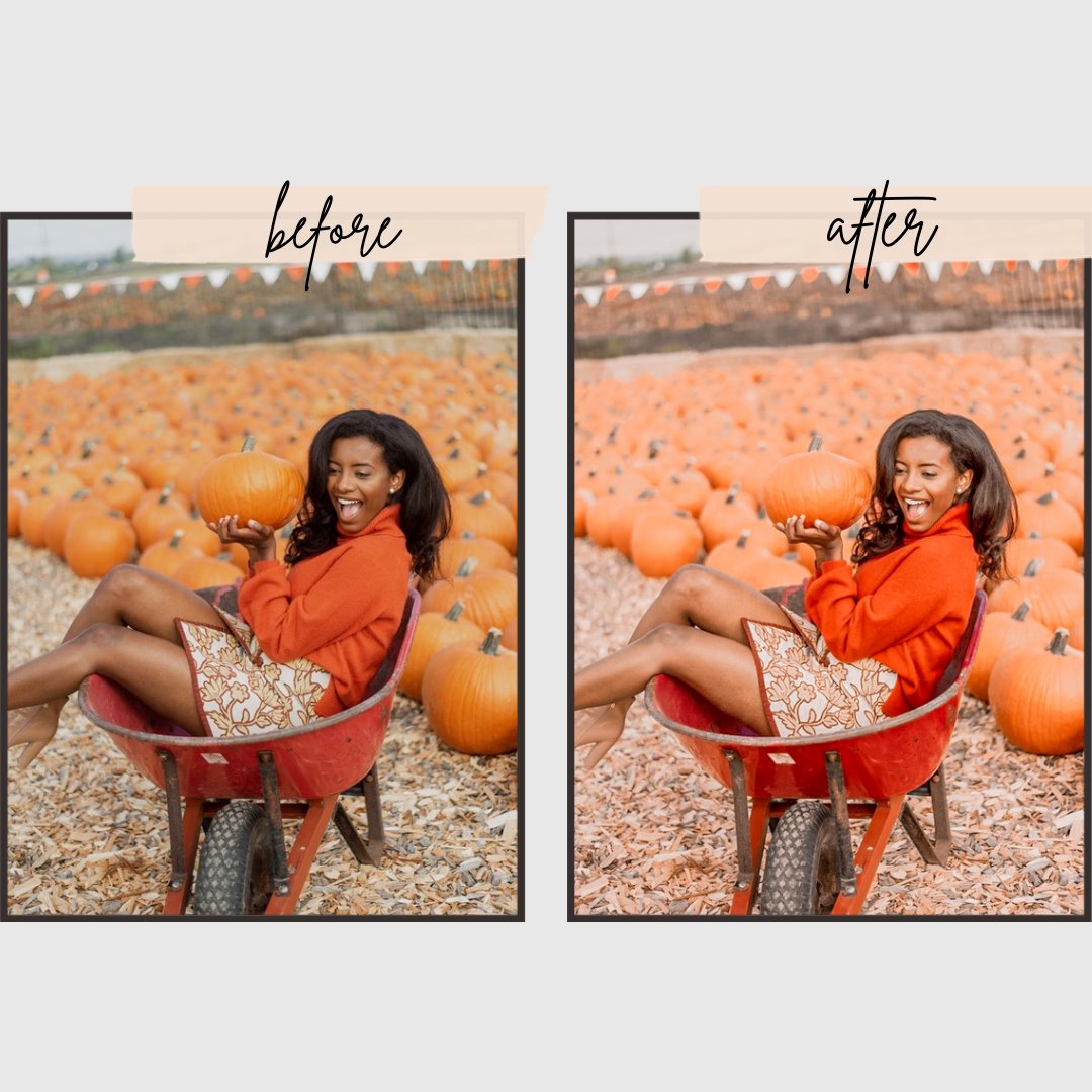 Autumn Presets edital 