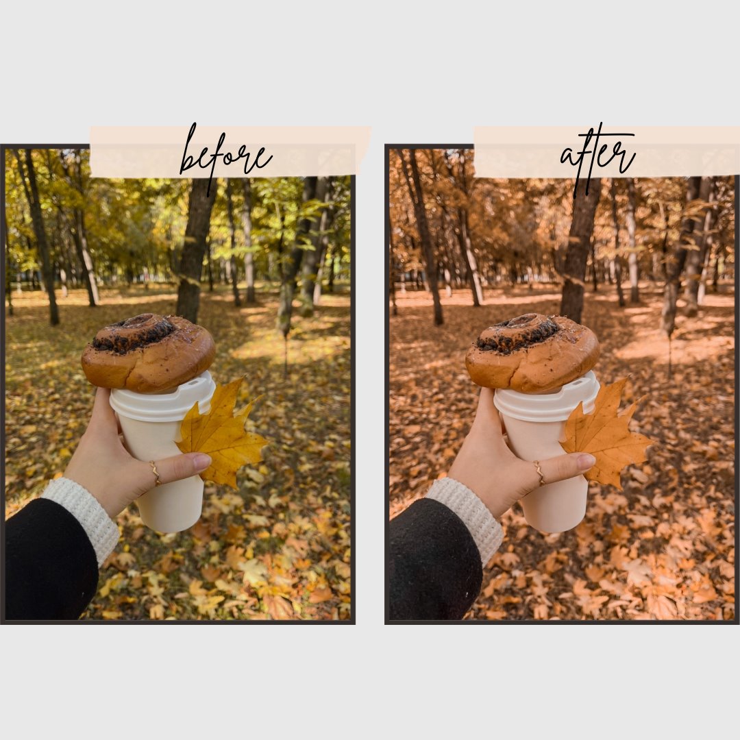 Autumn Presets edital 