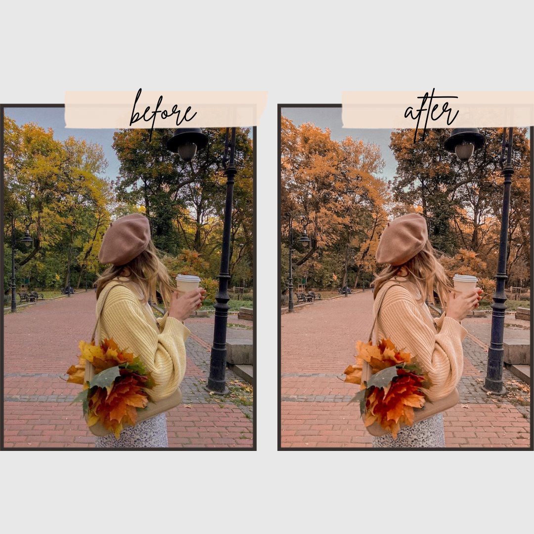 Autumn Presets edital 