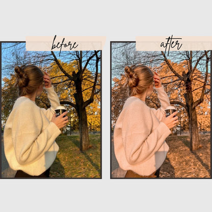 Autumn Presets edital 