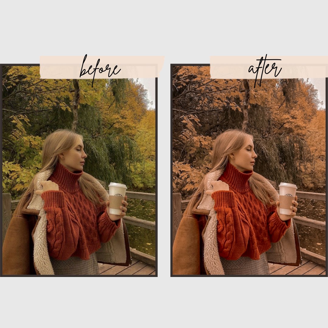 Autumn Presets edital 