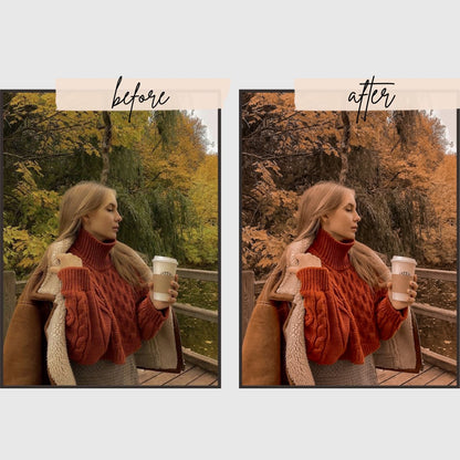 Autumn Presets edital 